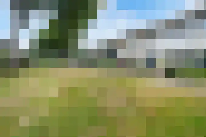 De Kap 127 Klazienaveen thumbnail 41