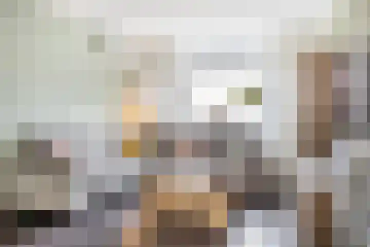 De Kap 225 Klazienaveen thumbnail 13