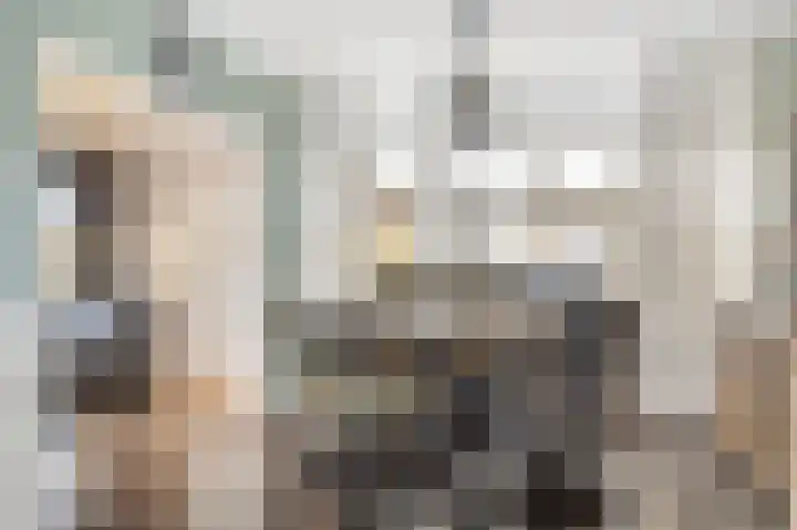 De Kap 225 Klazienaveen thumbnail 15