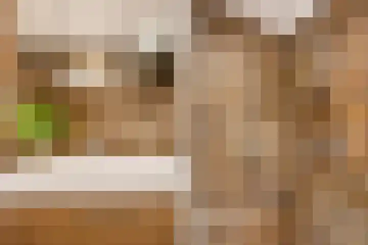 De Kap 225 Klazienaveen thumbnail 27