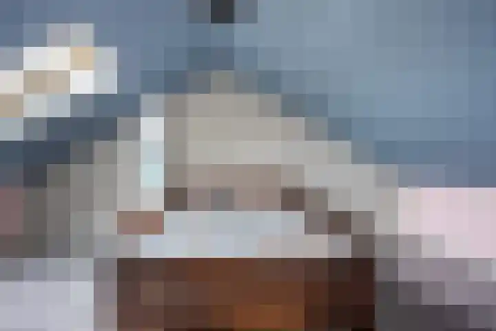 De Kap 225 Klazienaveen thumbnail 29