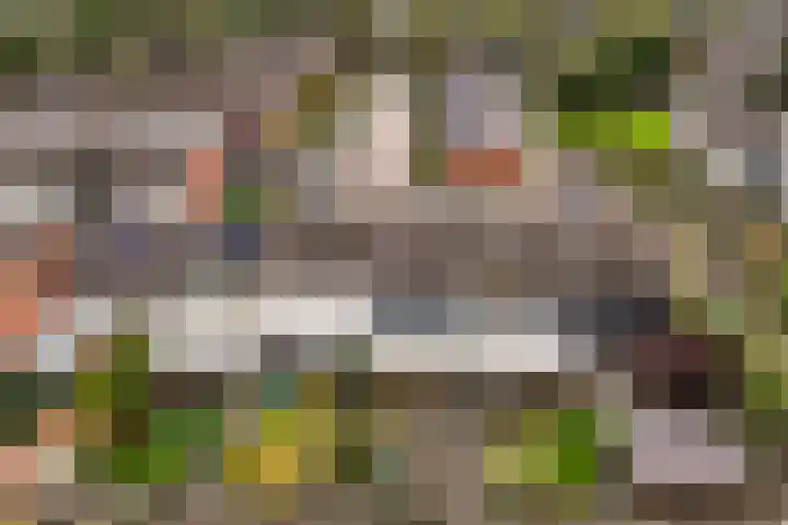 De Kap 225 Klazienaveen thumbnail 31