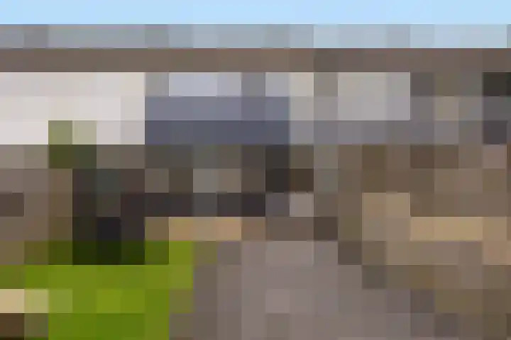 De Kap 225 Klazienaveen thumbnail 7