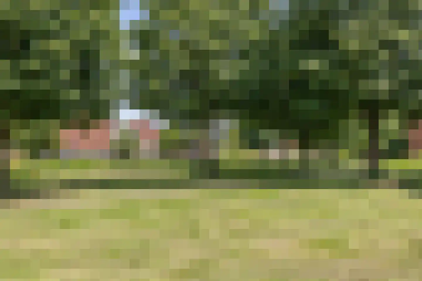 De Kap 239 Klazienaveen thumbnail 47