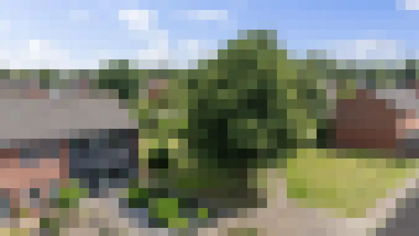 De Kap 239 Klazienaveen thumbnail 48