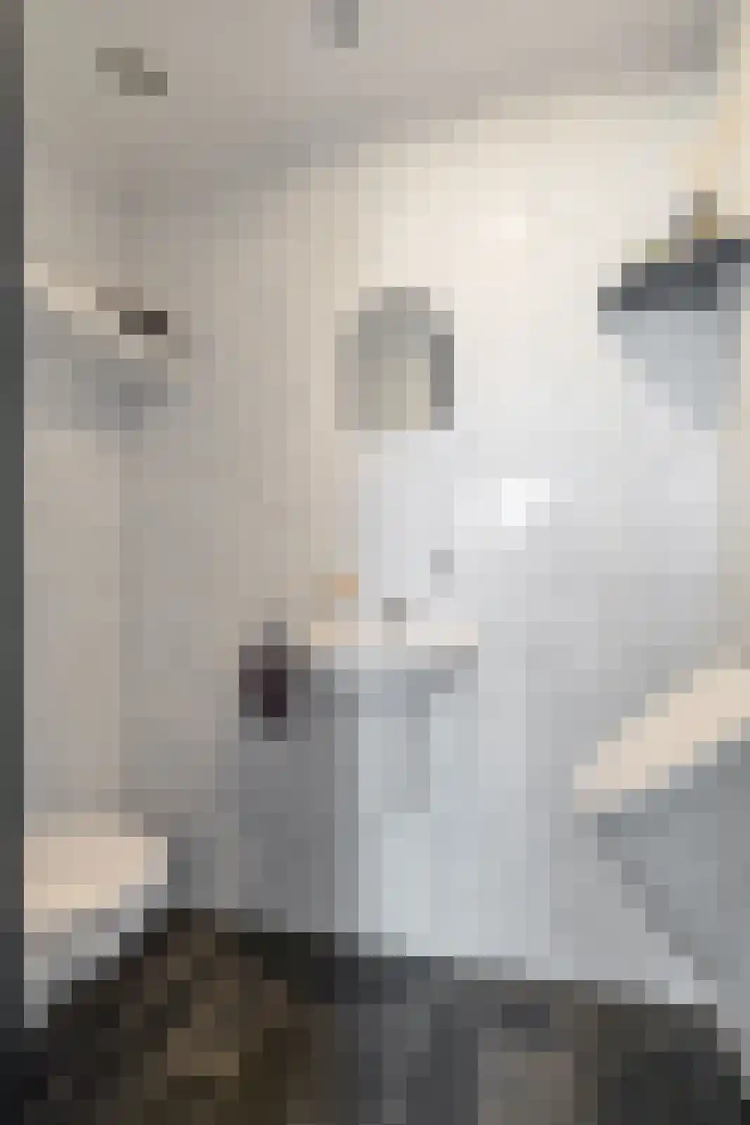 De Kap 239 Klazienaveen thumbnail 5