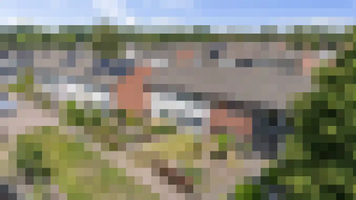 De Kap 239 Klazienaveen thumbnail 50