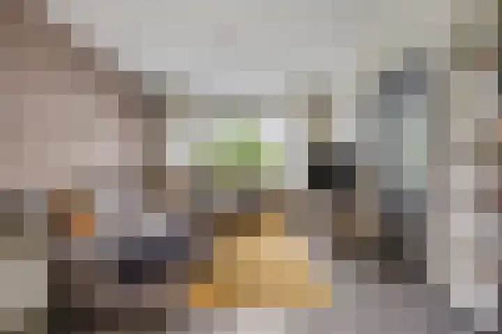 De Kap 267 Klazienaveen thumbnail 10