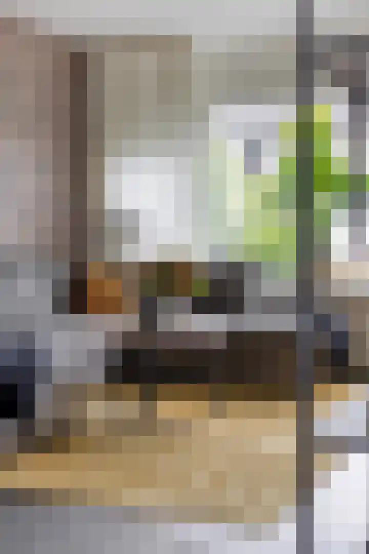 De Kap 267 Klazienaveen thumbnail 11