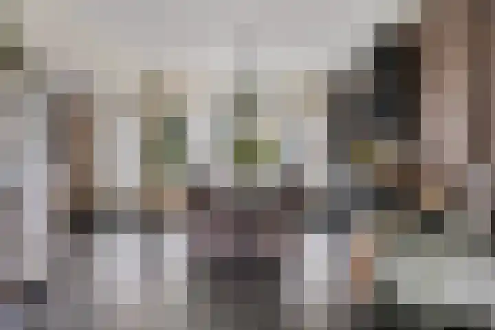 De Kap 267 Klazienaveen thumbnail 13
