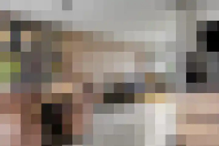 De Kap 267 Klazienaveen thumbnail 14
