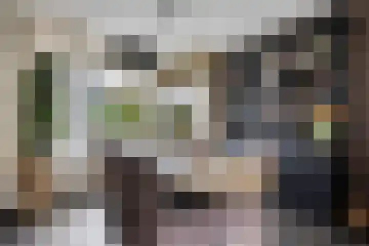 De Kap 267 Klazienaveen thumbnail 16