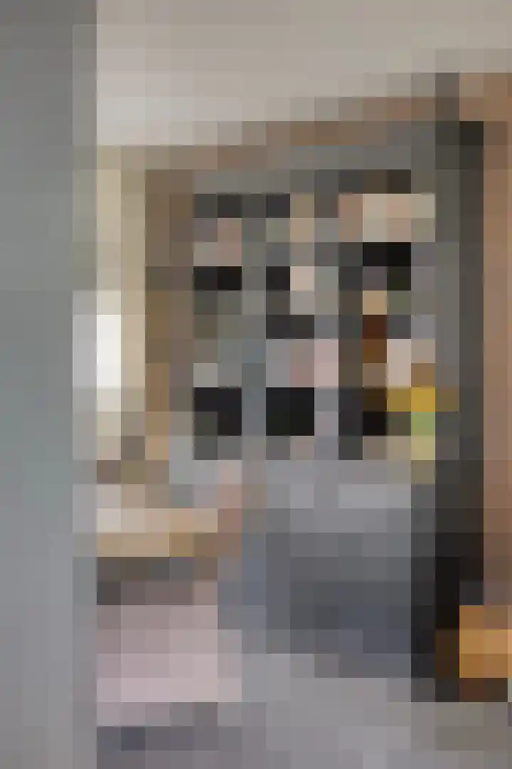 De Kap 267 Klazienaveen thumbnail 17