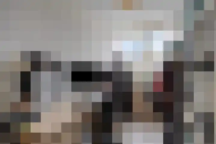 De Kap 267 Klazienaveen thumbnail 25