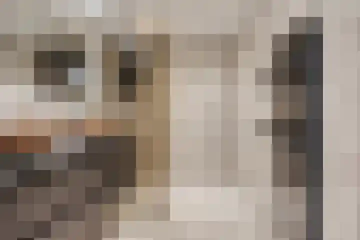 De Kap 267 Klazienaveen thumbnail 28