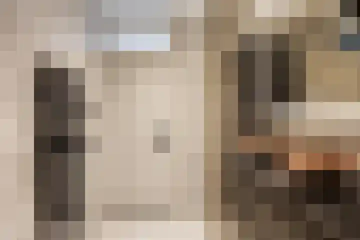De Kap 267 Klazienaveen thumbnail 29