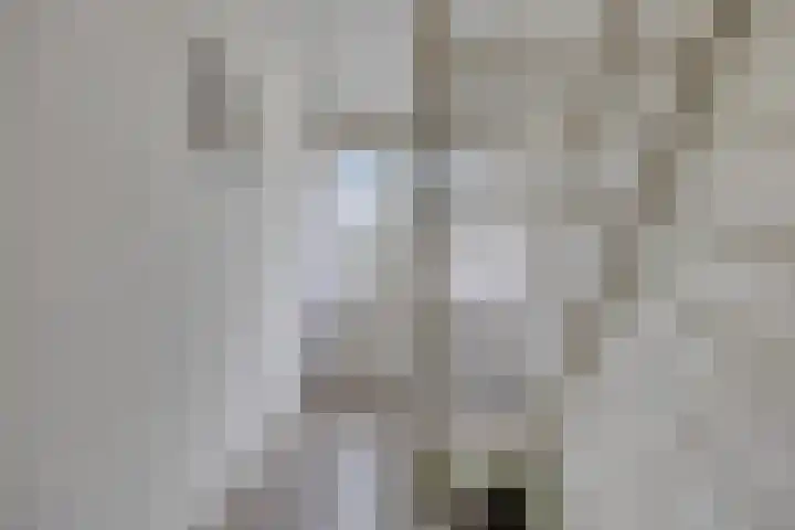 De Kap 267 Klazienaveen thumbnail 33