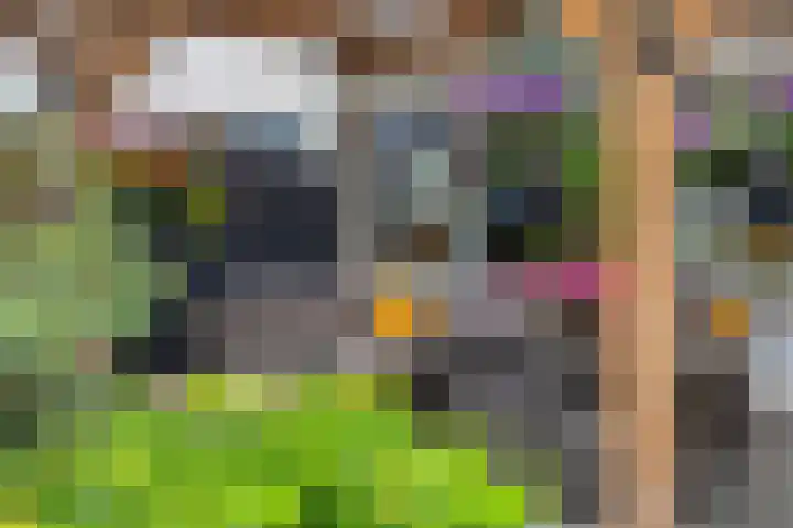 De Kap 267 Klazienaveen thumbnail 38