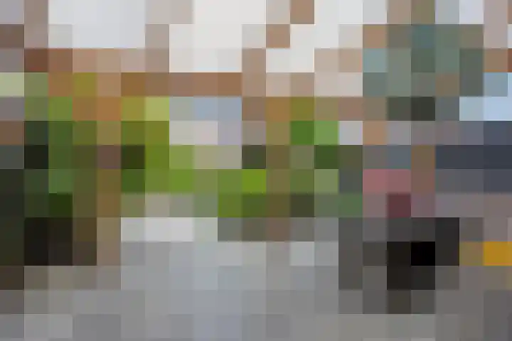 De Kap 267 Klazienaveen thumbnail 39