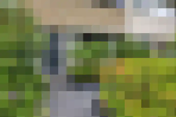 De Kap 267 Klazienaveen thumbnail 4