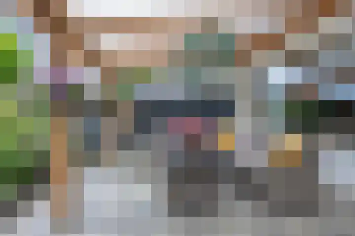 De Kap 267 Klazienaveen thumbnail 40