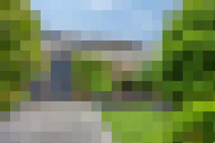 De Kap 267 Klazienaveen thumbnail 44