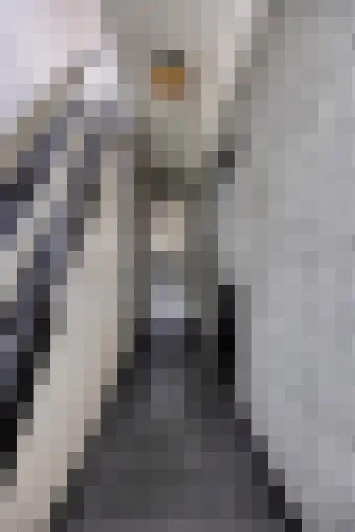 De Kap 267 Klazienaveen thumbnail 7