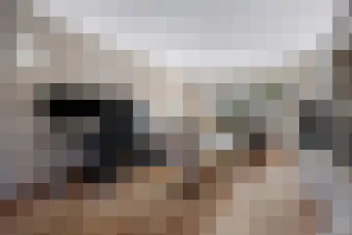 De Kap 279 Klazienaveen thumbnail 13