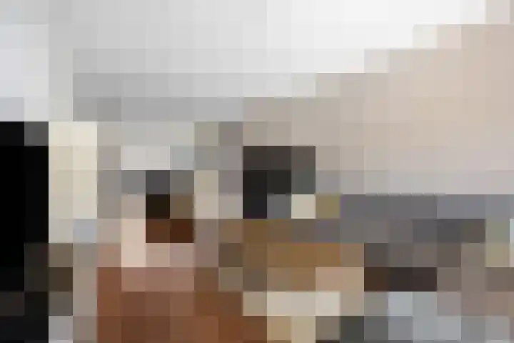De Kap 279 Klazienaveen thumbnail 16