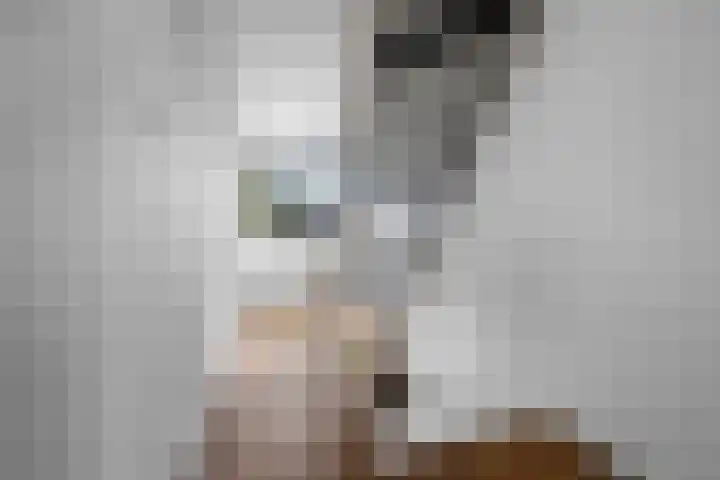 De Kap 279 Klazienaveen thumbnail 20