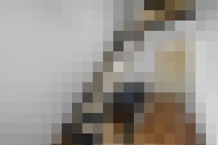De Kap 279 Klazienaveen thumbnail 21