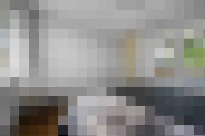 De Kap 279 Klazienaveen thumbnail 22