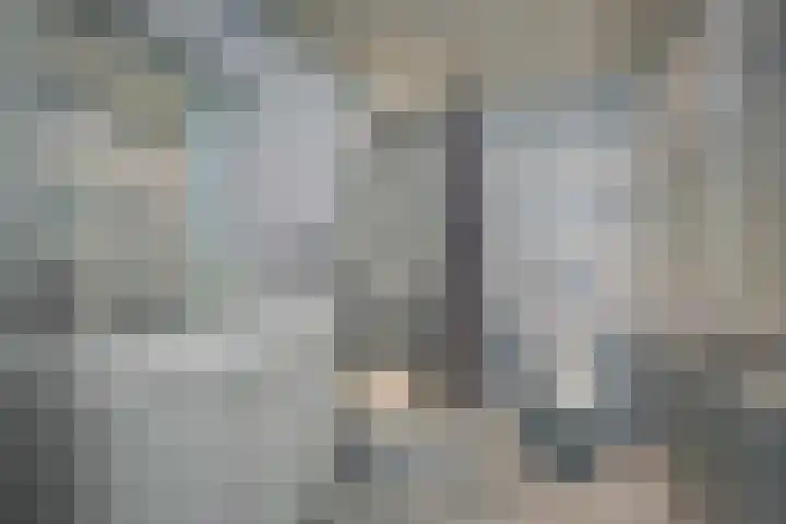 De Kap 279 Klazienaveen thumbnail 28