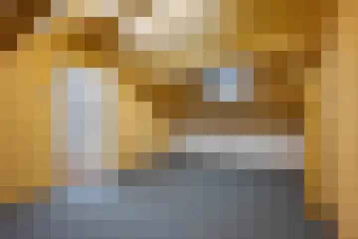 De Kap 279 Klazienaveen thumbnail 31