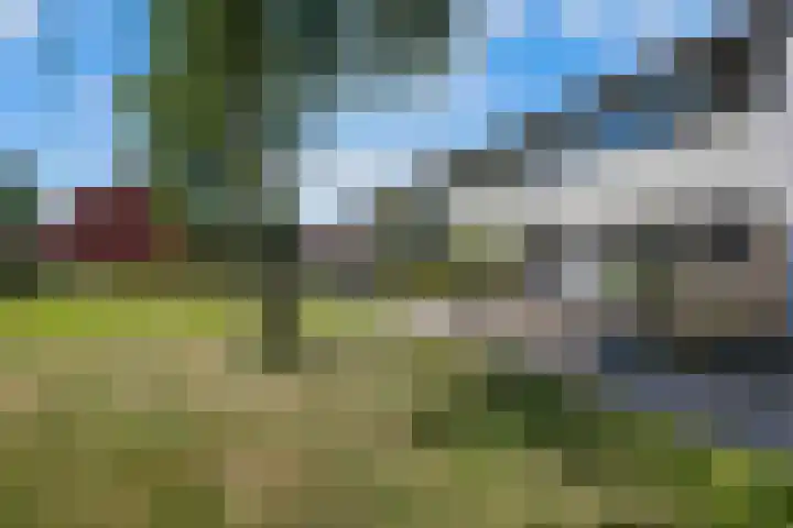 De Kap 279 Klazienaveen thumbnail 35