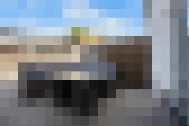 De Kap 279 Klazienaveen thumbnail 36