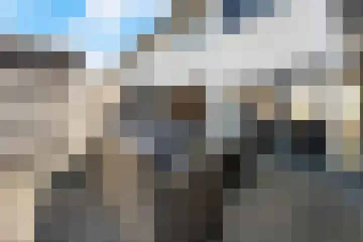 De Kap 279 Klazienaveen thumbnail 37