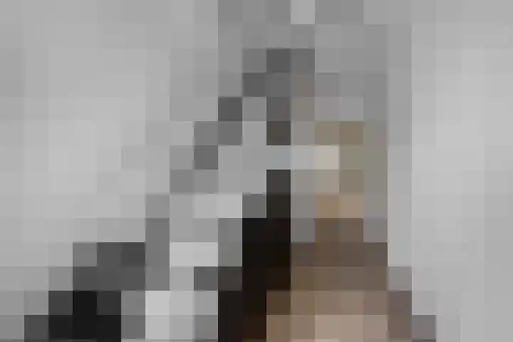 De Kap 279 Klazienaveen thumbnail 4