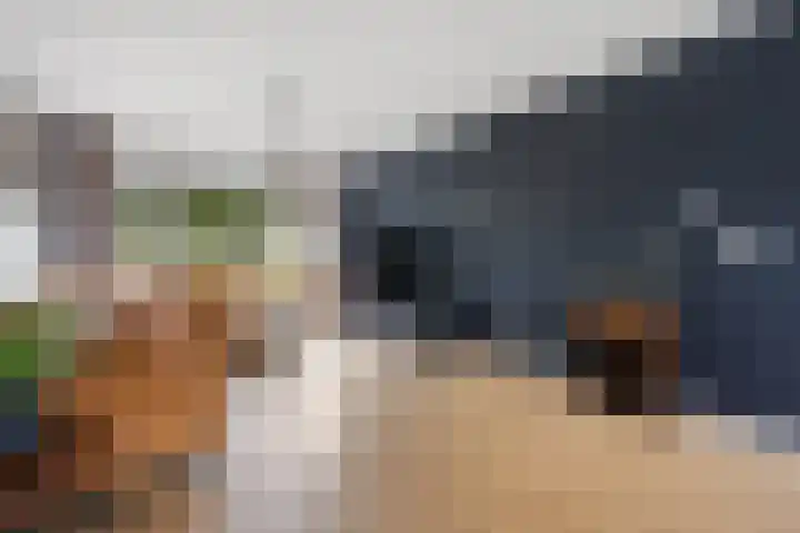 De Kap 287 Klazienaveen thumbnail 15