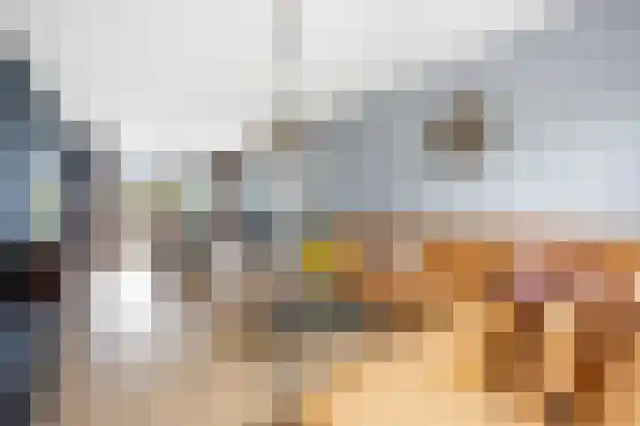 De Kap 287 Klazienaveen thumbnail 16