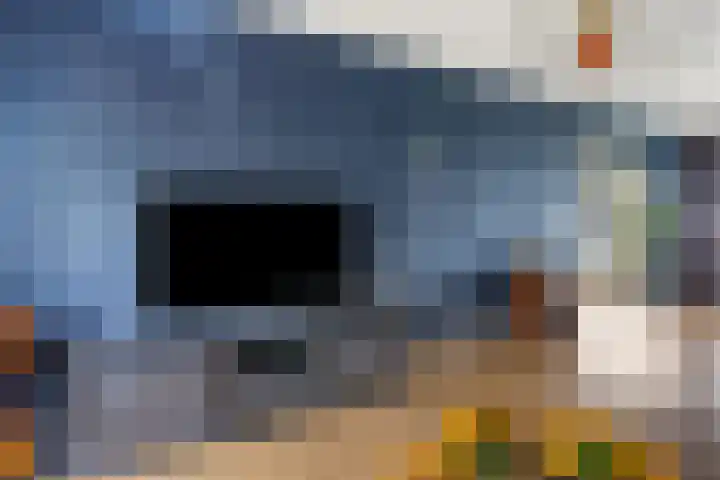 De Kap 287 Klazienaveen thumbnail 17