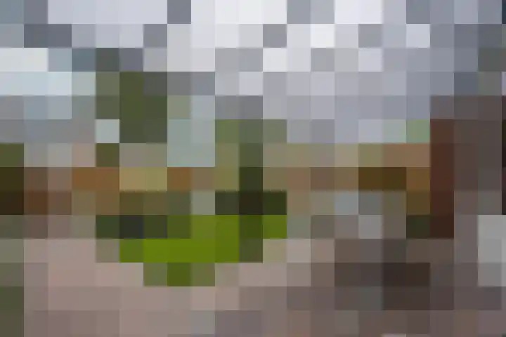 De Kap 287 Klazienaveen thumbnail 32