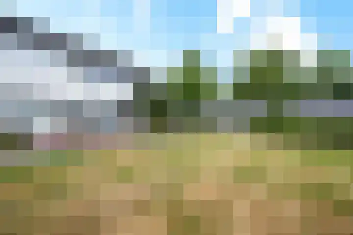 De Kap 287 Klazienaveen thumbnail 39