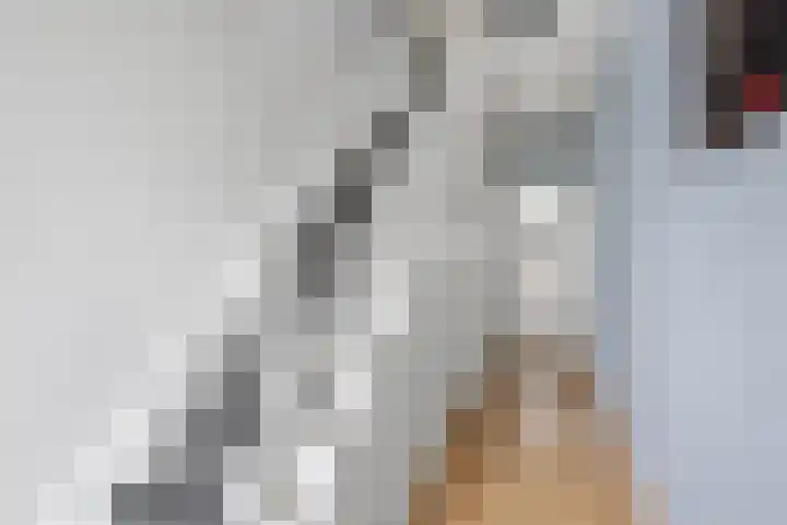 De Kap 287 Klazienaveen thumbnail 4