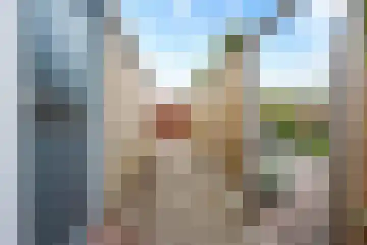 De Kap 287 Klazienaveen thumbnail 40