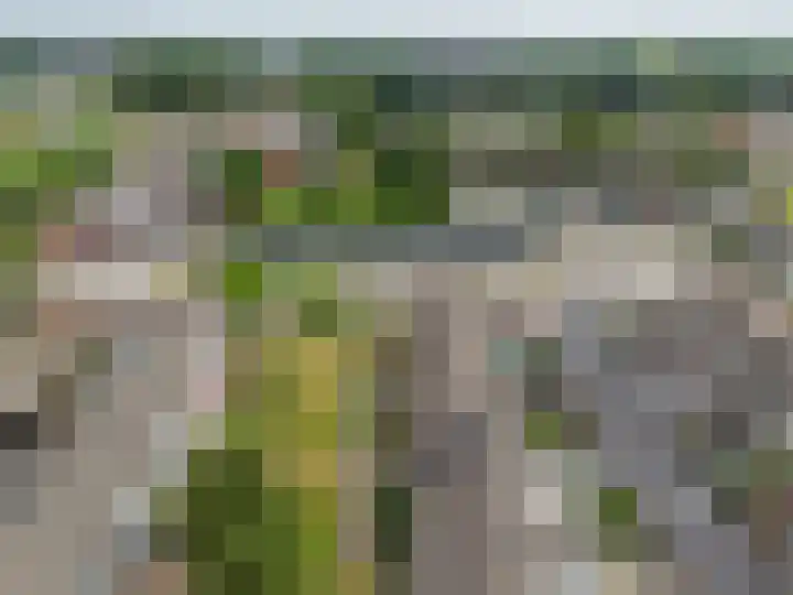 De Kap 287 Klazienaveen thumbnail 41
