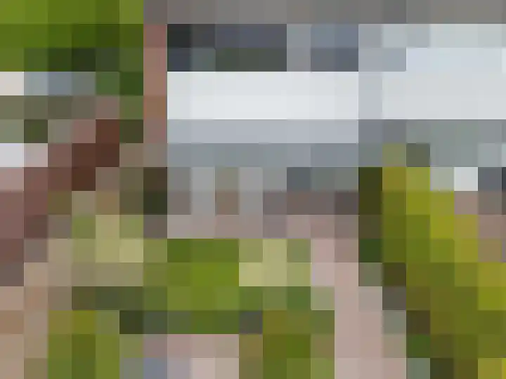 De Kap 287 Klazienaveen thumbnail 42