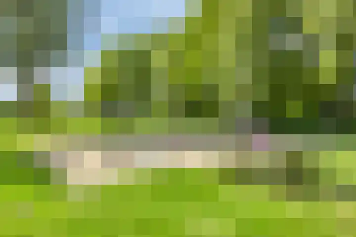 De Kap 303 Klazienaveen thumbnail 25