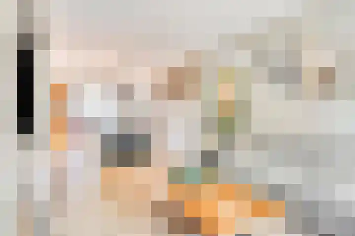 De Kap 303 Klazienaveen thumbnail 4