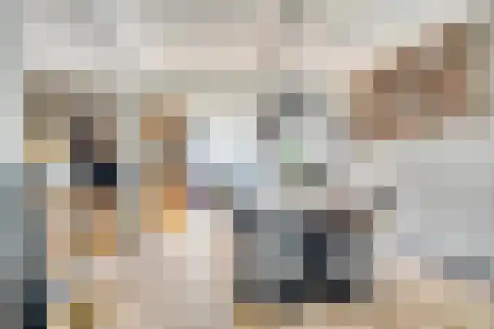 De Kap 303 Klazienaveen thumbnail 5